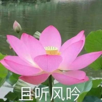 河北阜平举办“专利转化燕赵行”对接活动